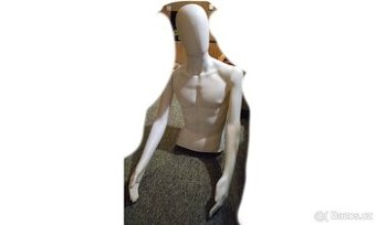 Pánské torzo figurína