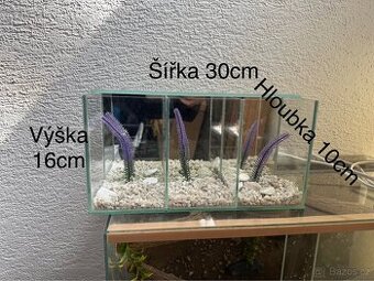 Akvárium