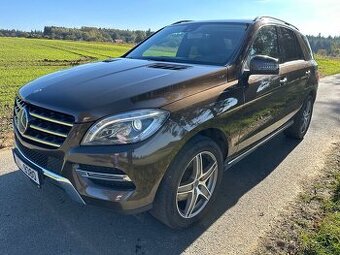 ML 350d 4matic DPH - 1