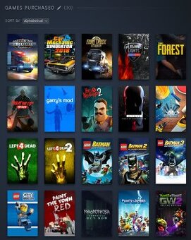 Steam acc s 30 hrami