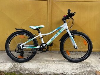 Superior Paint 20 kolo s páčkovým řazením - váha 9,5kg