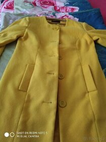 Žlutý kabát
