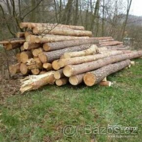 Borovice palivové dřevo 7-30cm klády 3m Milešov u Příbrami