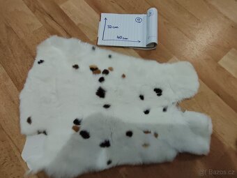 Kožky od Anežky