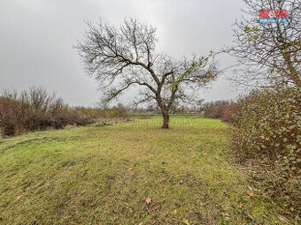 Prodej pole, 468 m², Třebenice - 1