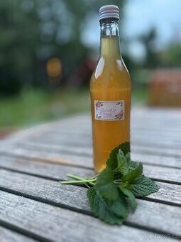Meduňkový sirup domácí - 1
