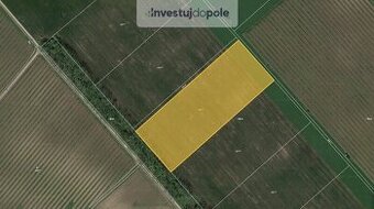 Prodej pole v k.ú. Lednice na Moravě