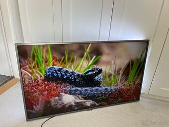 4K Philips TV 127cm, Ambilight osvětlení