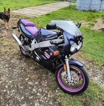 Yamaha FZR 600 Genesis