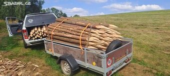 Syrové Smrkové kůly se špicemi