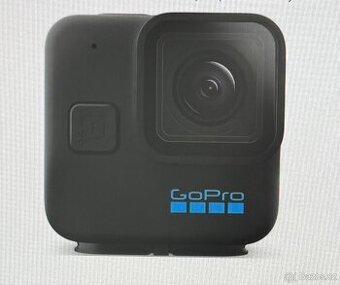 GoPro Mini 11