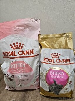 Royal Canin kitten a british shorthair granule