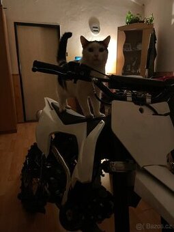 Pitbike shark 125
