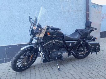 Predam Harley davison Sportster 883 Iron