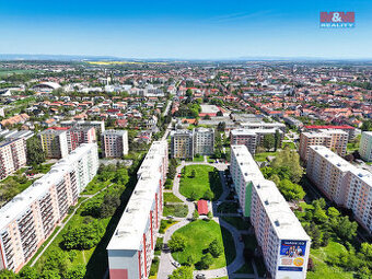 Prodej bytu 3+1, 74 m², Prostějov, ul. Václava Špály