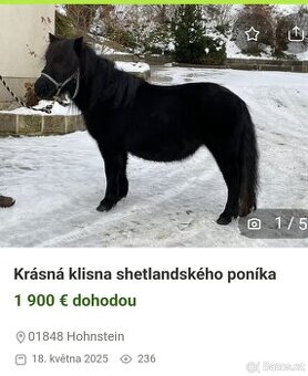 Ponik Klisna