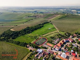 Prodej, pozemky/vinice/sady, 256256 m2, Zaječí, Břeclav [ID
