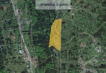 Prodej louky v k.ú. Desná III - 1