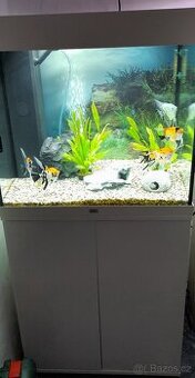 Akvárium Juwel 120l bez ryb