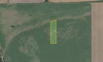 Zemědělská půda, prodej, Rejšice, Smilovice, Mladá Boleslav