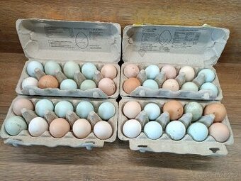 Domácí vajíčka