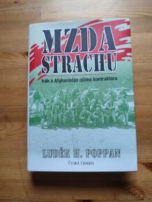 Mzda strachu
