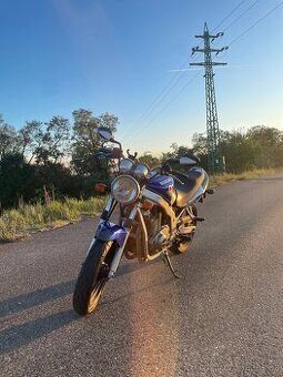 Suzuki gs 500 2001