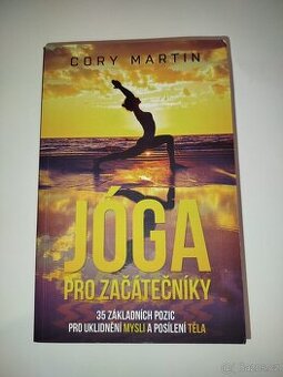Jóga pro začátečníky