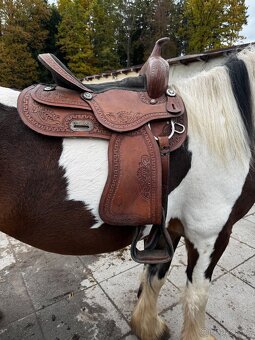 Westernové sedlo na kulatého koně