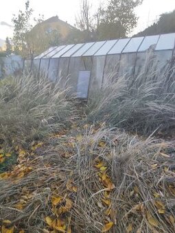 Skleník zdarma za odvoz