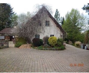 RD,  Borovnice a velkými pozemky , ID 8132e 1003