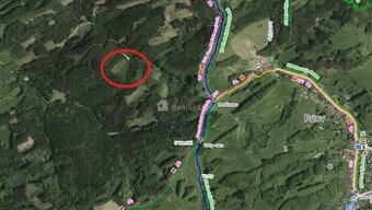 Lesní pozemky k.ú. Prlov - 1