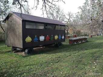 Prodám květový med