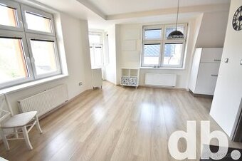 Pronájem byty 2+kk, 57 m2 - Karlovy Vary - Rybáře