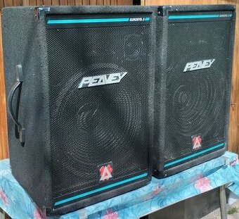 2 x reprobox Peavey 15"