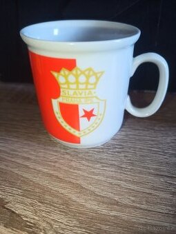 Hrnecek -Slavia Praha IPS
