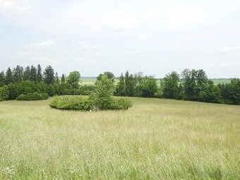 Prodej louky v k.ú. Dobroutov o výměře 17 087 m2