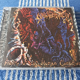 INTERVALLE BIZZARE / MALIGNANCY - Split - NOVÉ