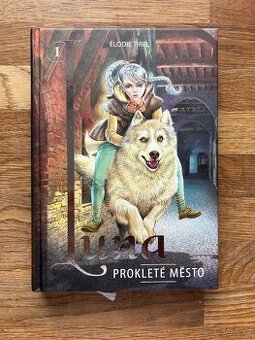 Kniha: Luna prokleté město