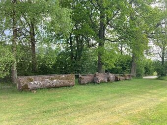 Jasanové dřevo kulatiny