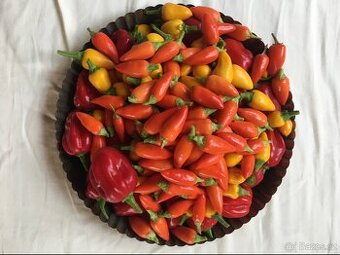 Chilli papričky