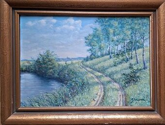 Starožitné obrazy autora Ladislava Struny