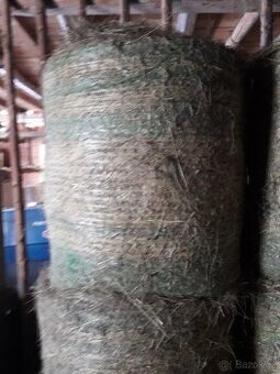 Seno velké kulaté balíky