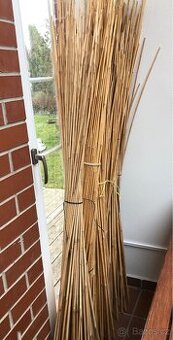 Bambus ke zpracování