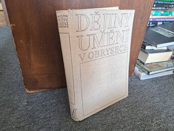 Dějiny umění v obrysech