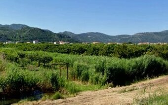 Pozemek se sadem mandarinek / Jižní Dalmácie