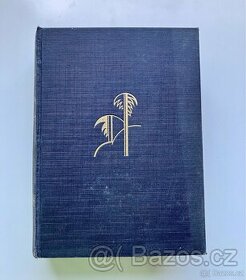 kniha Sahara Elgart Sokol 1929
