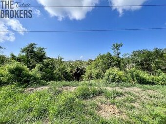 Isery Main Road, Roatan