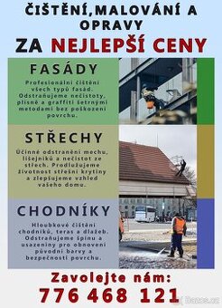 Čištění a malování fasad, střech a chodníku