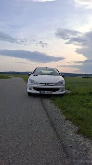 Peugeot 206 1.4 i (55 kW)